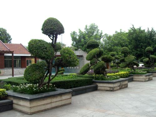 園林工程預結算知識大全 深圳預算培訓