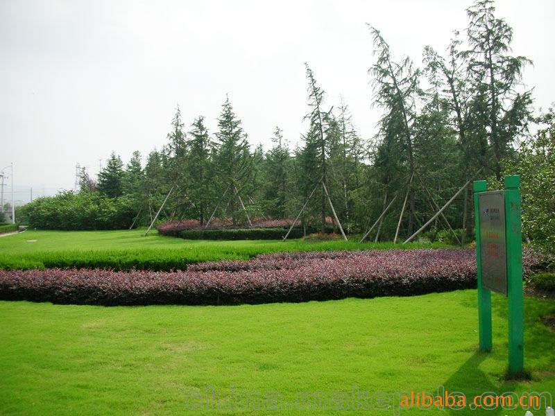 承攬綠化工程、園林施工、園林綠化工程養(yǎng)護(hù)