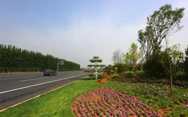 【聚焦發(fā)展瞰章丘】系列報道園林和林業(yè)綠化局:讓生態(tài)文明建設(shè)成果全民共享