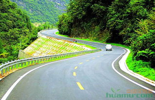 黃浦區(qū)園林綠化工程施工公司