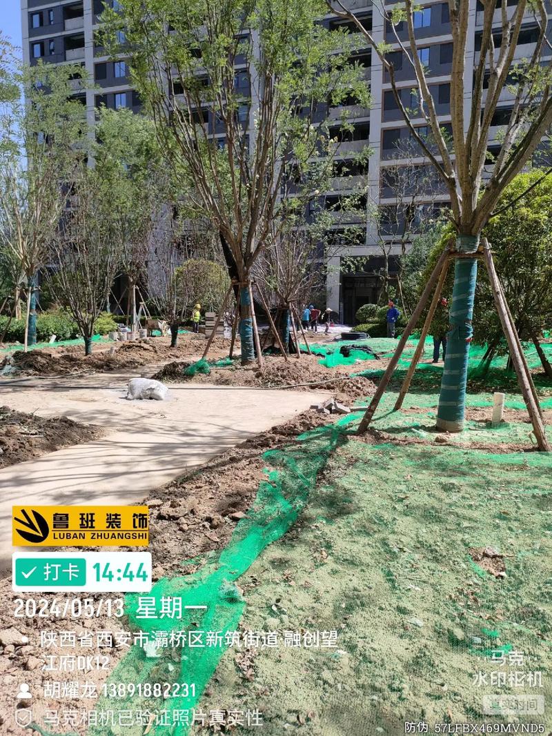 施工現(xiàn)場實拍 #園林綠化工程 #工程進(jìn)度 #現(xiàn)場實拍 望江