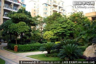 植物配置,花鏡設計參考實景圖片的圖片瀏覽,園林節點照片,綠化,園林景觀設計施工圖紙資料下載