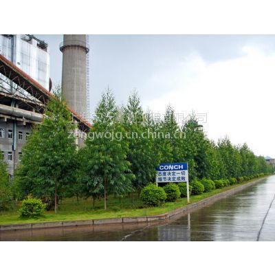 景觀設(shè)計(jì)_園林綠化_綠化養(yǎng)護(hù)_苗樹(shù)銷售&ndash;【上海宗沃景觀工程】