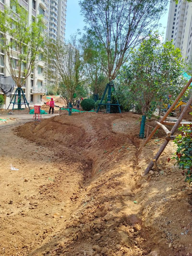 園林綠化工程 #施工現(xiàn)場實拍