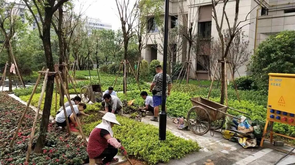 園林景觀工程 從綠化施工打造美麗環(huán)境